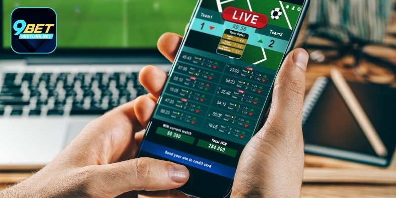 Cách chơi cá cược tại thể thao I9Bet